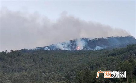 ?云南玉溪山火燃烧迅猛 最新进展如何？