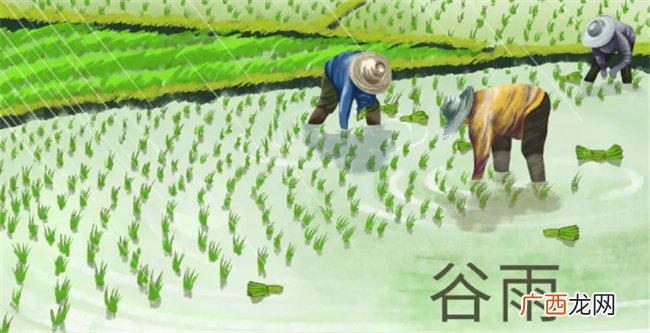谷雨有什么美好的寓意 谷雨是哪一天