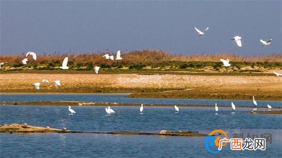 鄱阳湖“解渴”：第一大淡水湖如何避免再历枯劫？