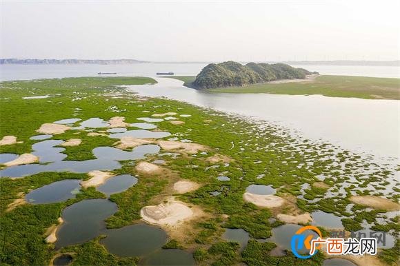 鄱阳湖“解渴”：第一大淡水湖如何避免再历枯劫？