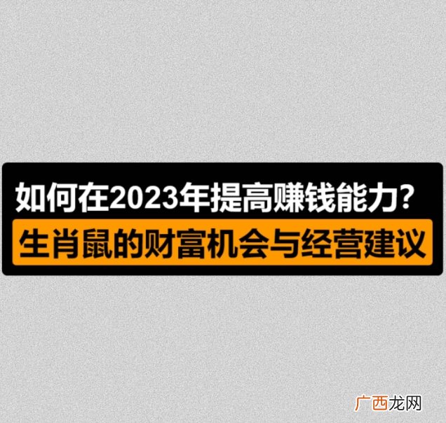 如何在2023年提高赚钱能力？生肖鼠的财富机会与经营建议