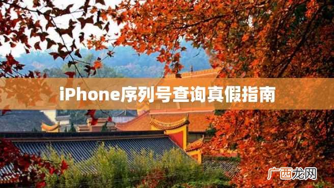 iPhone序列号查询真假指南