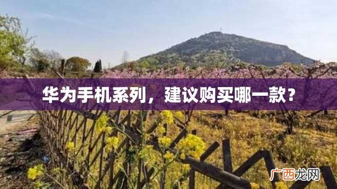 华为手机系列，建议购买哪一款？