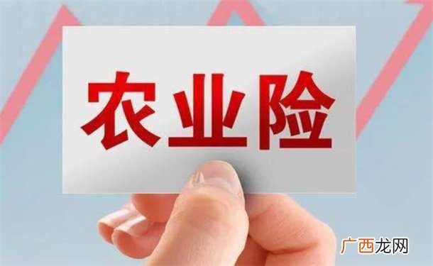 ?农业保险织就“保障网” 怎么开展风险管理？