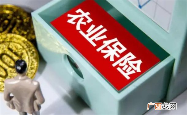 ?农业保险织就“保障网” 怎么开展风险管理？