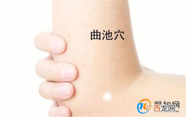 激活你身体的“血压血脂调节器”！简单实用，为家人收藏
