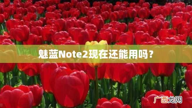 魅蓝Note2现在还能用吗？