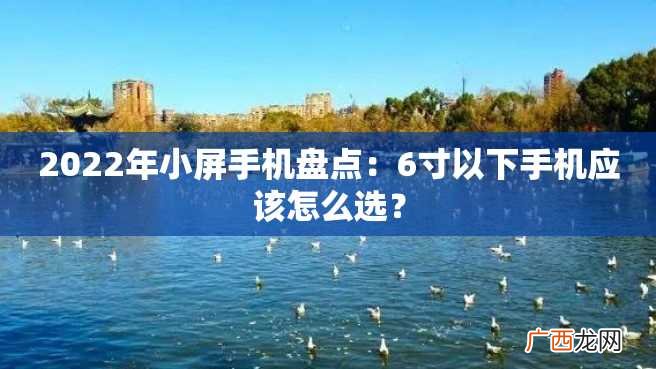 2022年小屏手机盘点：6寸以下手机应该怎么选？