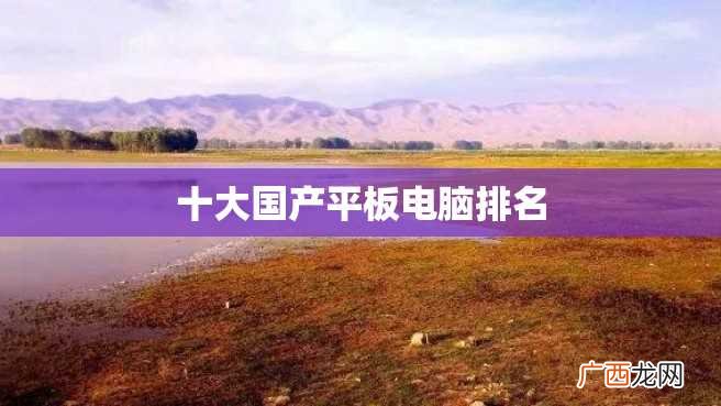 十大国产平板电脑排名