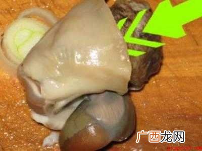 海螺怎么处理干净