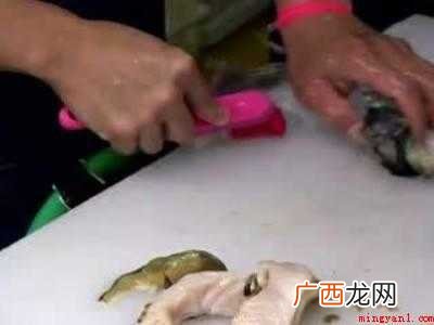海螺怎么处理干净