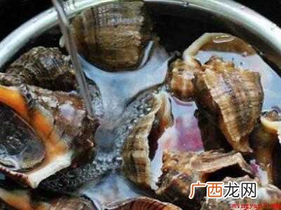 海螺怎么处理干净