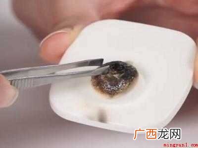 衣服扣没有吸铁石怎么卸