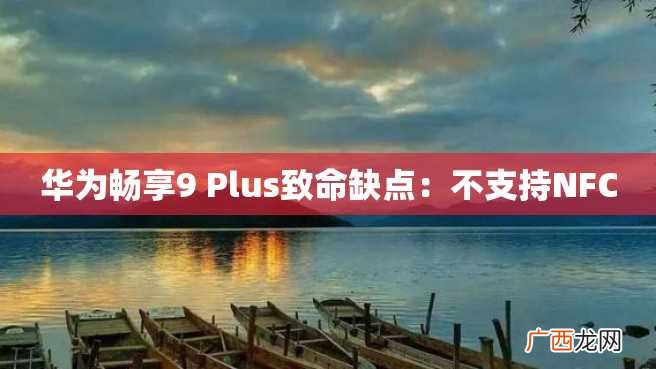 华为畅享9 Plus致命缺点：不支持NFC