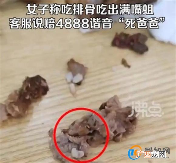 女子称吃黄焖排骨发现满嘴是蛆 经营餐饮业应该注意哪些？