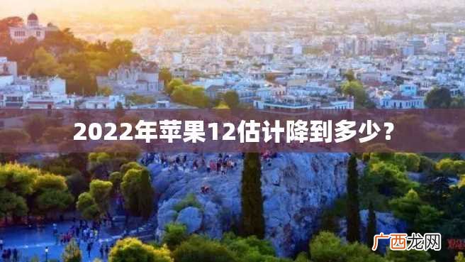 2022年苹果12估计降到多少？