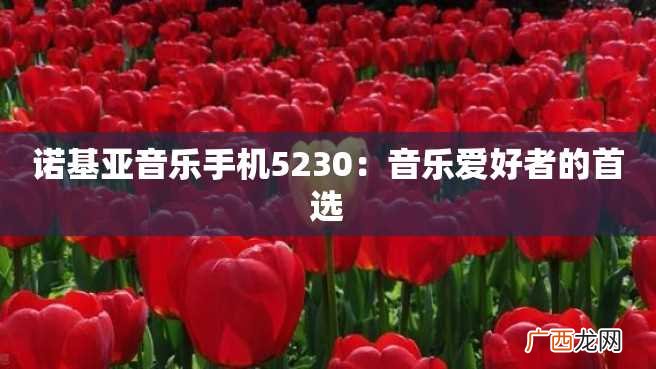 诺基亚音乐手机5230:音乐爱好者的首选