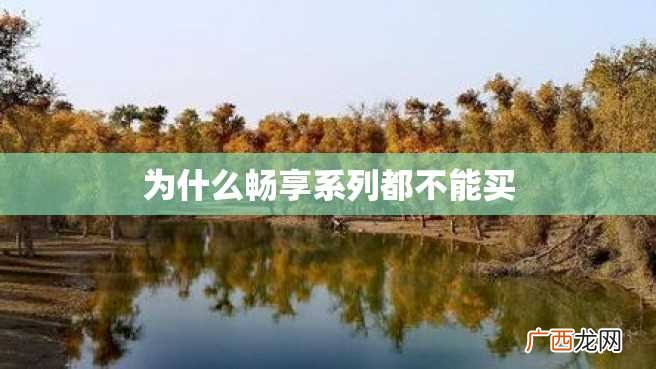 为什么畅享系列都不能买