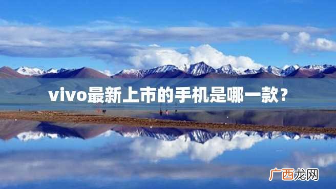vivo最新上市的手机是哪一款？