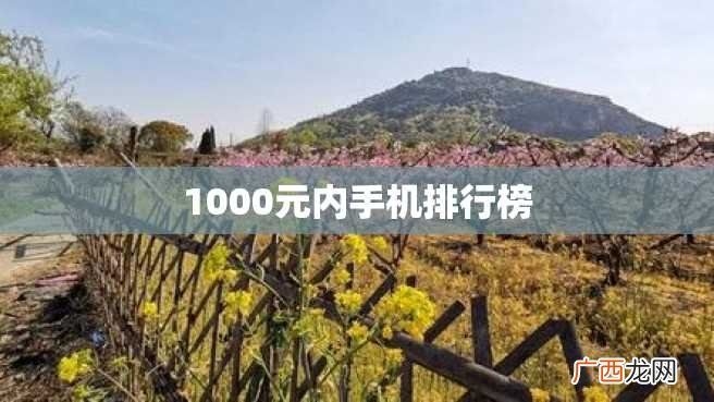 1000元内手机排行榜