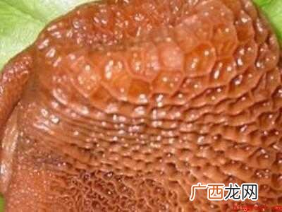 煮生牛肚的正确方法