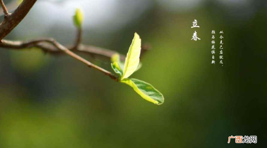 什么时候立春