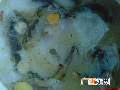 泥鳅烧汤怎么做汤白