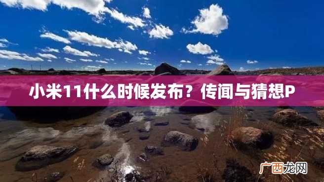小米11什么时候发布？传闻与猜想P