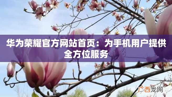 华为荣耀官方网站首页：为手机用户提供全方位服务