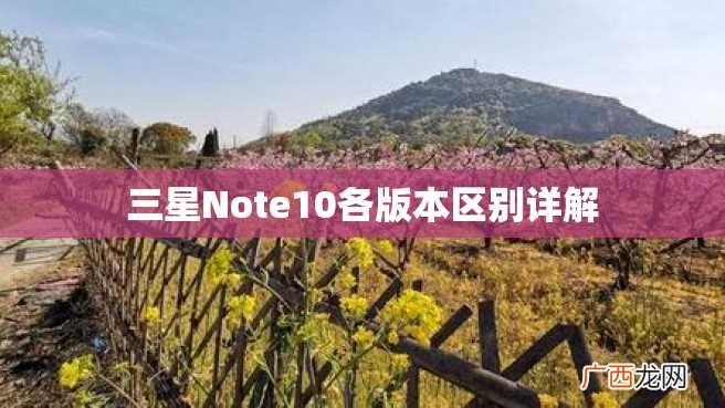 三星Note10各版本区别详解