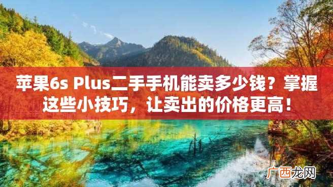 苹果6s Plus二手手机能卖多少钱？掌握这些小技巧，让卖出的价格更高！