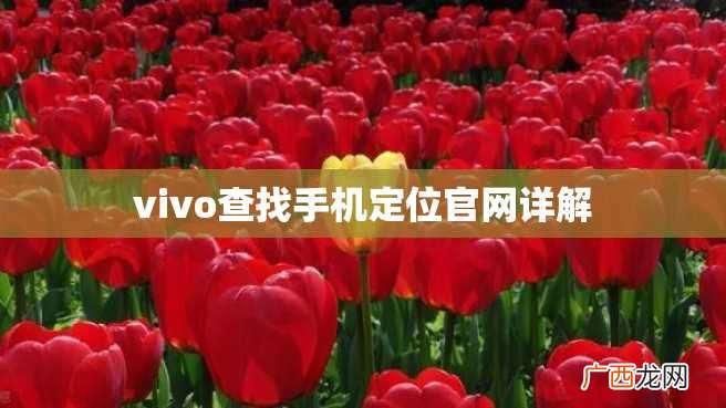 vivo查找手机定位官网详解