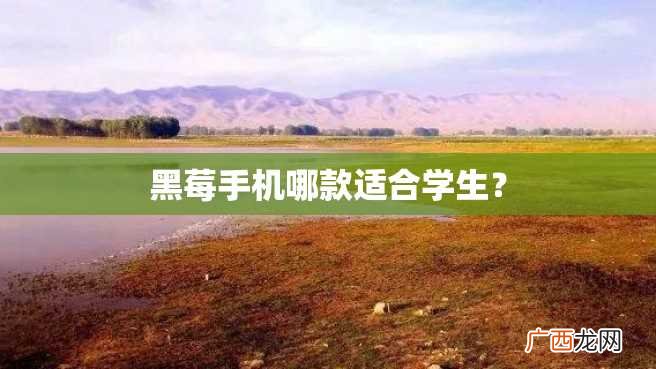 黑莓手机哪款适合学生？