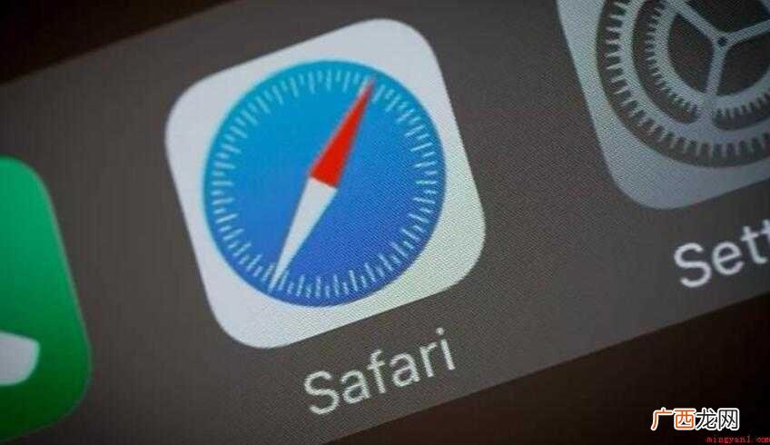 Safari是什么意思