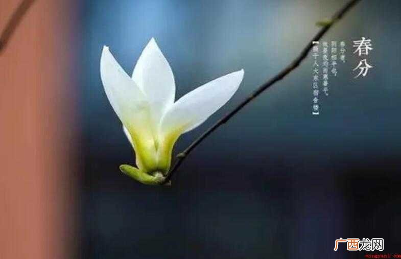 春分有哪些习俗