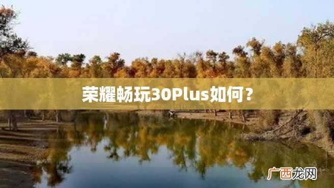 荣耀畅玩30Plus如何？