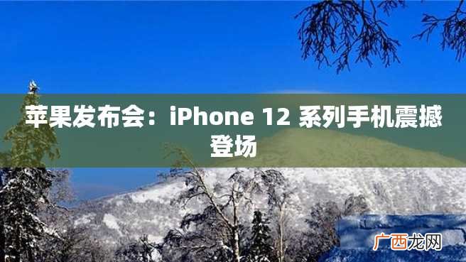 苹果发布会：iPhone 12 系列手机震撼登场