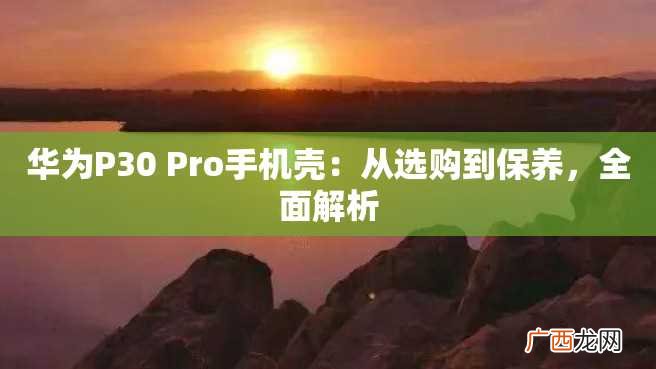 华为P30 Pro手机壳：从选购到保养，全面解析