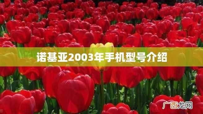 诺基亚2003年手机型号介绍