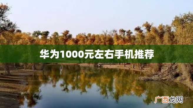 华为1000元左右手机推荐