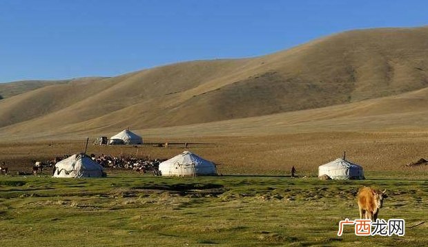 历史上的强悍民族，被清朝统治了300年，此招就让其没落