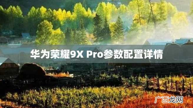 华为荣耀9X Pro参数配置详情