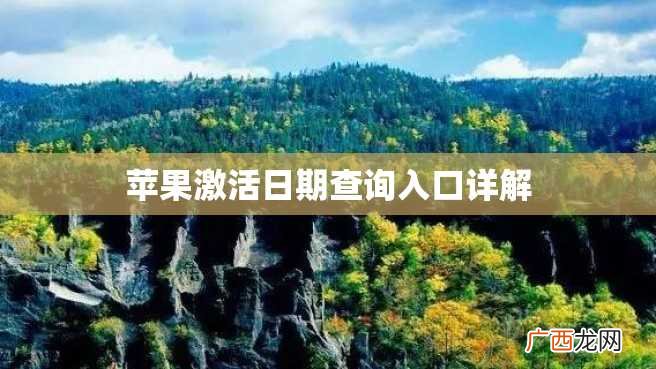 苹果激活日期查询入口详解
