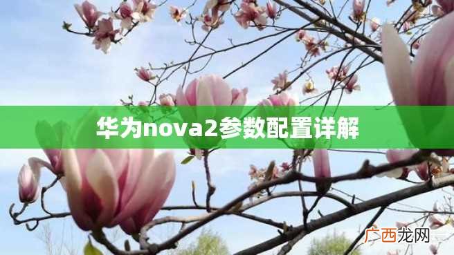 华为nova2参数配置详解