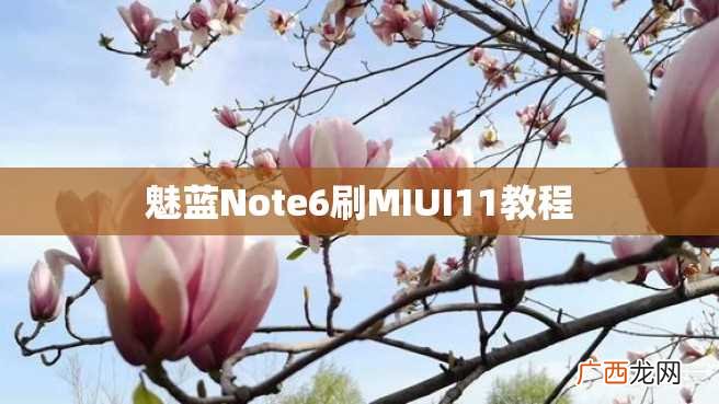 魅蓝Note6刷MIUI11教程