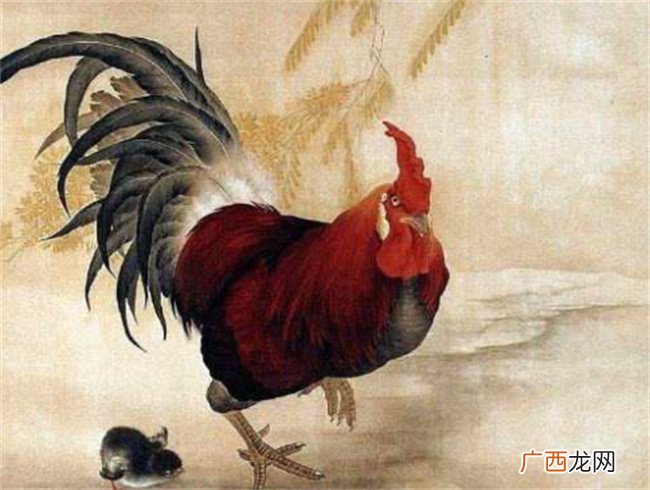 明天4·25日生肖运势大分析
