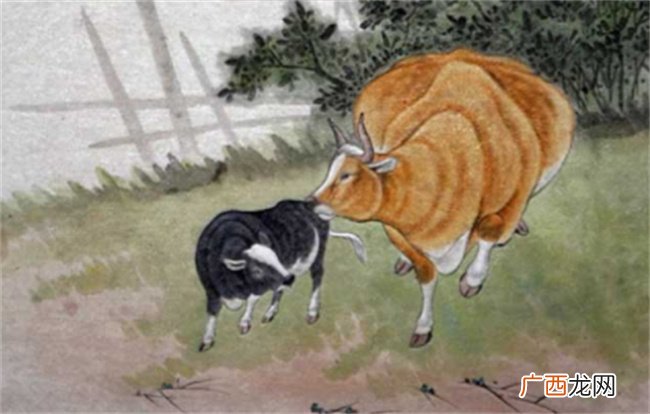 明天4·25日生肖运势大分析