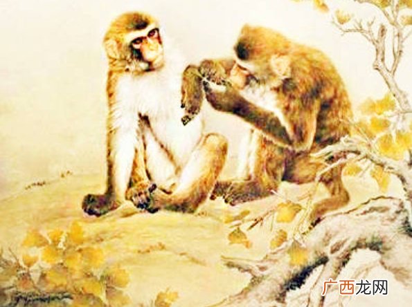 今年事业光景大好，风光无两，上班加薪，生意兴隆的生肖