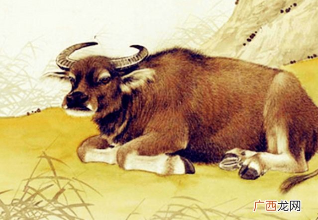 今年事业光景大好，风光无两，上班加薪，生意兴隆的生肖