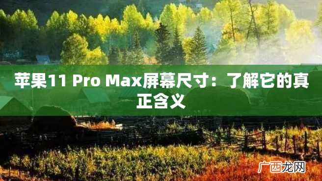 苹果11 Pro Max屏幕尺寸：了解它的真正含义